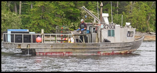 BlundenSept2015-2-IMG_4570_edited-1