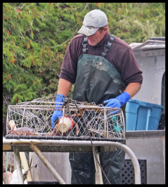 BlundenSept2015-5-IMG_4564_edited-1