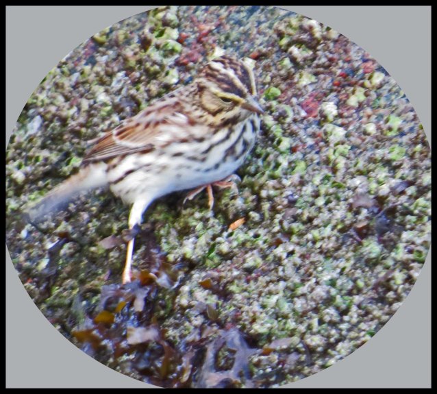 BottleneckSept201-14