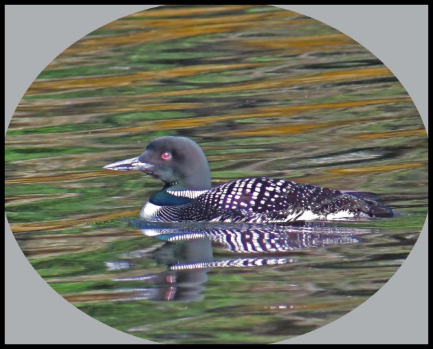 BottleneckSept2015-10