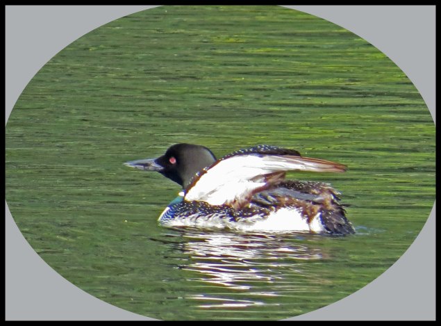 BottleneckSept2015-16