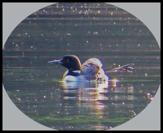 BottleneckSept2015-7