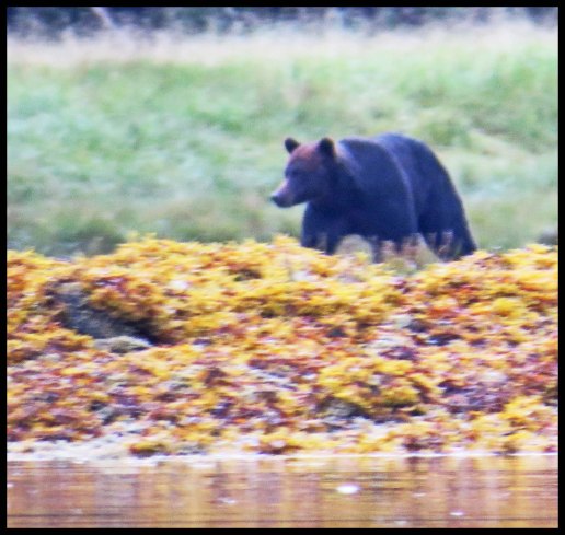 Cameron2015-10-IMG_2706_edited-1