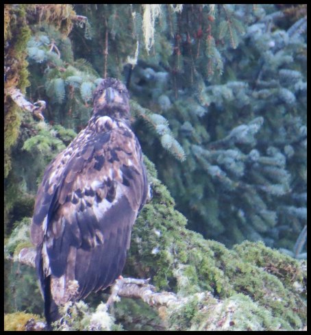 Cameron2015-11-IMG_2528_edited-1