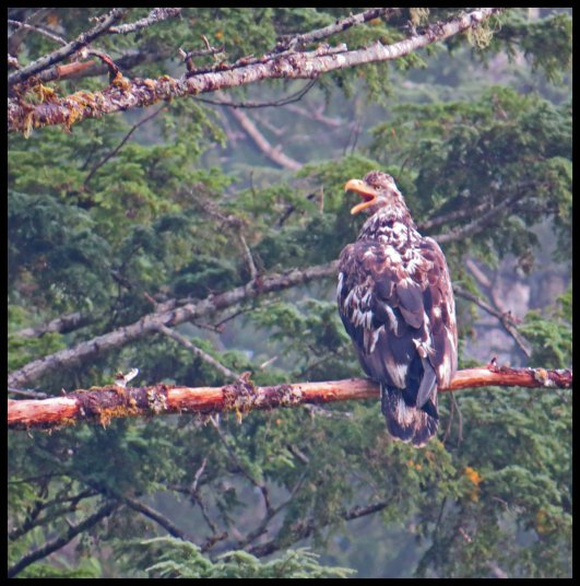 Cameron2015-117-IMG_2817_edited-1