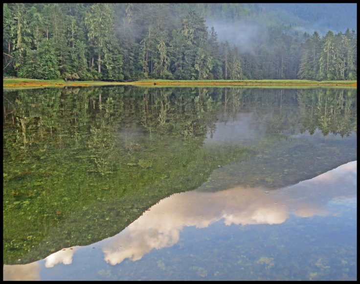 Cameron2015-119-IMG_2811_edited-1