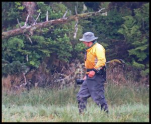 Cameron2015-120-IMG_2814_edited-1