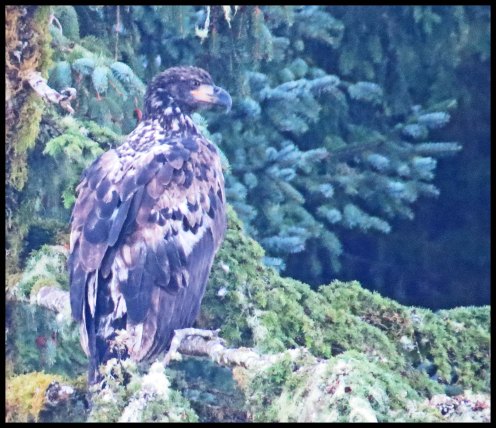 Cameron2015-17-IMG_2552_edited-1