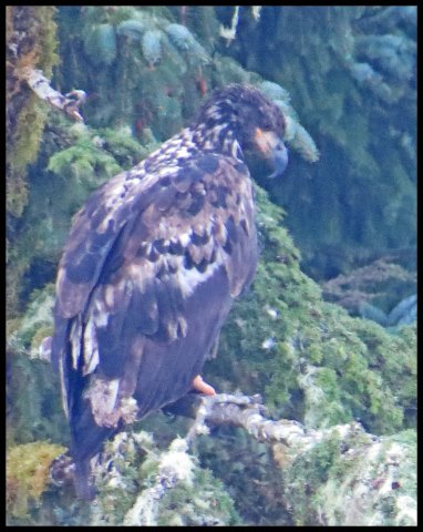 Cameron2015-20-IMG_2565_edited-1