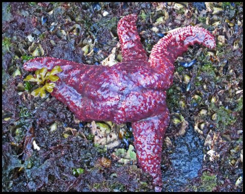 Cameron2015-36-IMG_2606_edited-1