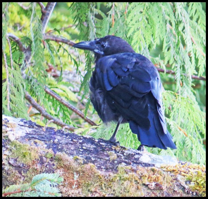 Cameron2015-49-IMG_2672_edited-1