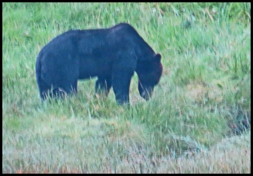 Cameron2015-69-IMG_2715_edited-1