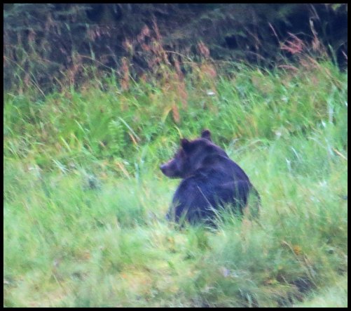 Cameron2015-70-IMG_2719_edited-1