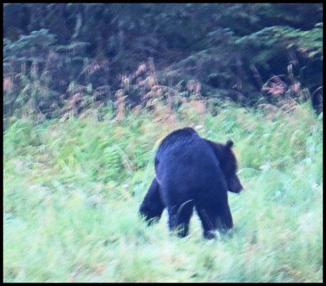 Cameron2015-70-IMG_2721_edited-1