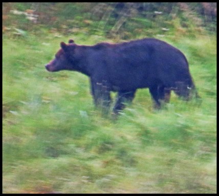 Cameron2015-72-IMG_2726_edited-1