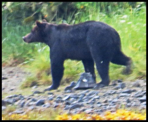 Cameron2015-74-IMG_2727_edited-1