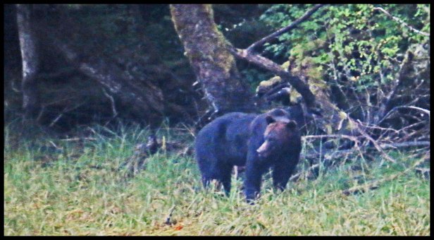 Cameron2015-74-IMG_2748_edited-1