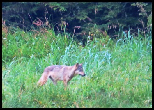 Cameron2015-75-IMG_2732_edited-1