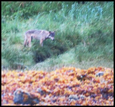 Cameron2015-76-IMG_2734_edited-1