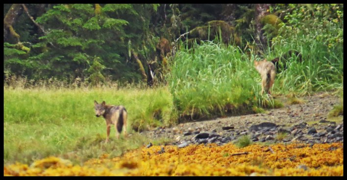 Cameron2015-77-IMG_2756_edited-1