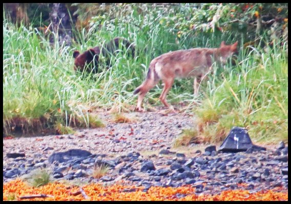 Cameron2015-78-IMG_2758_edited-1