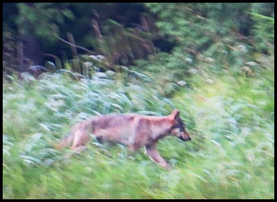 Cameron2015-79-IMG_2752_edited-1