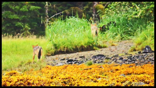 Cameron2015-81-IMG_2757_edited-1