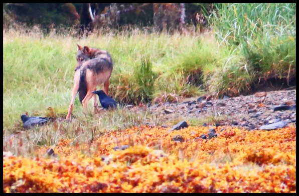 Cameron2015-83-IMG_2759_edited-1