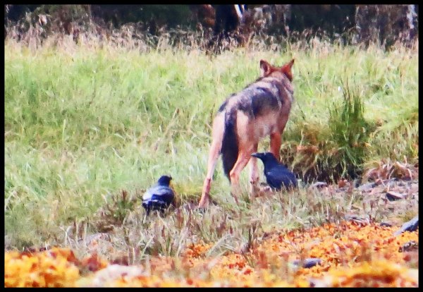 Cameron2015-85-IMG_2760_edited-1