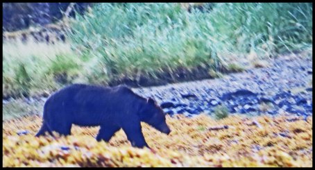 Cameron2015-89-IMG_2709_edited-1