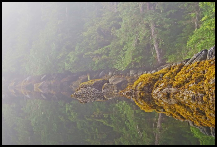 Captain2015-29-IMG_1510_edited-1