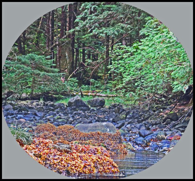 Captain2015-78_edited-1