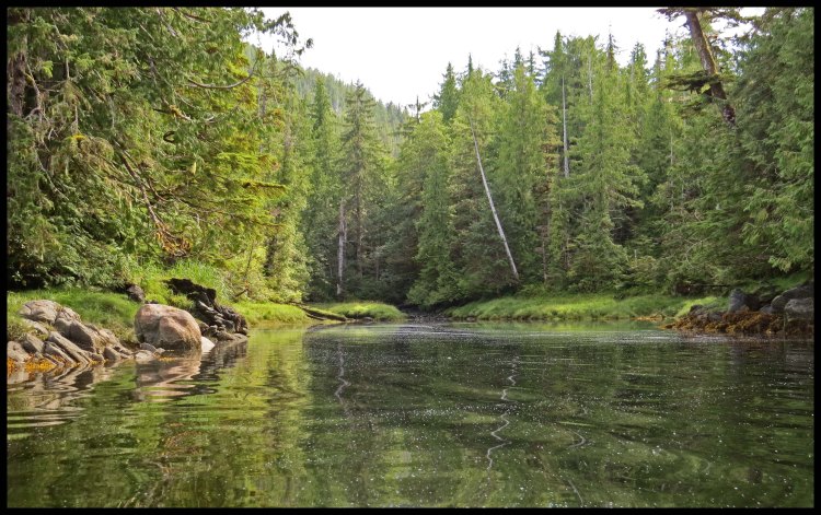 Captain2015-89-IMG_1584_edited-1