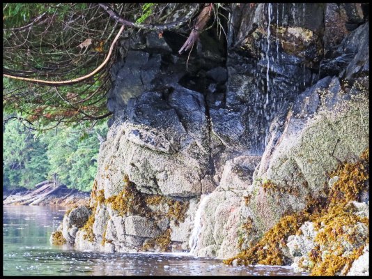 Chapple2015-60-IMG_3109_edited-1