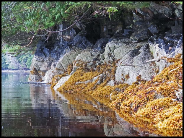 Chapple2015-62-IMG_3115_edited-1