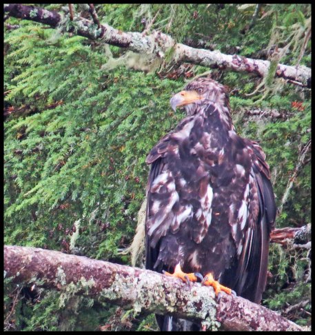 Chapple2015-71-IMG_3145_edited-1