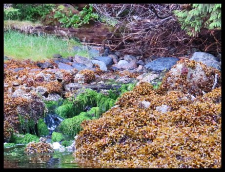 Clarke2015-1-IMG_2862_edited-2