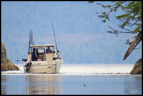 Clarke2015-29-IMG_2916_edited-1