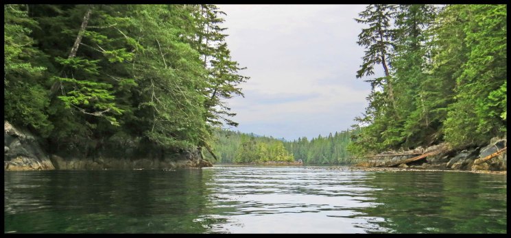 Clarke2015-30-IMG_2919_edited-1