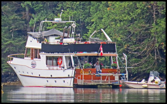 Clarke2015-33-IMG_2934_edited-1