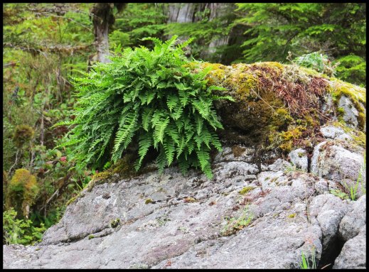 Clarke2015-40-IMG_2969_edited-1