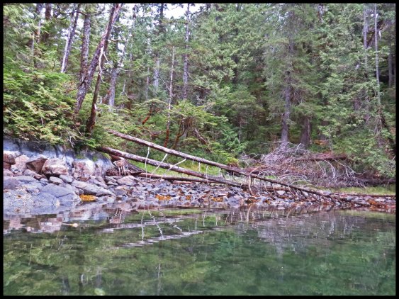 Clarke2015-41a-IMG_2973_edited-1