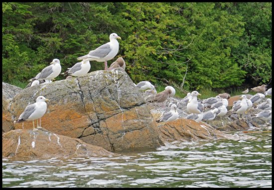 Colby2015-105-IMG_2178_edited-1