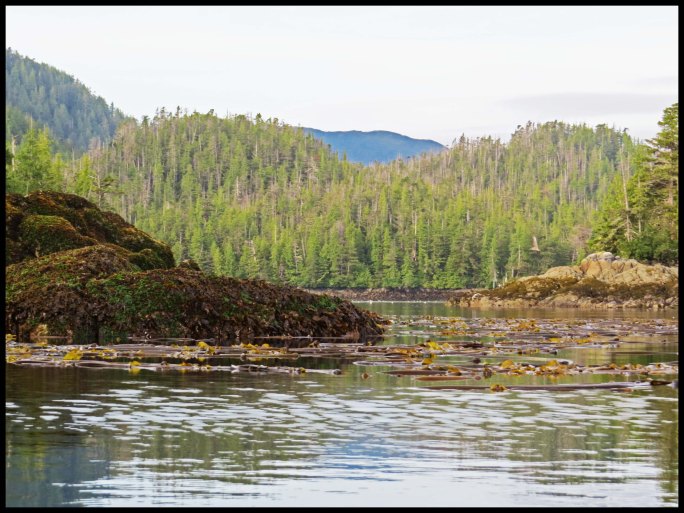 Colby2015-2-IMG_2150_edited-1