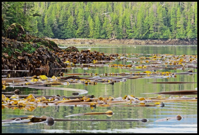 Colby2015-3-IMG_2152_edited-1