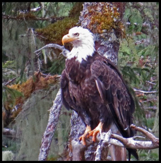 KakushcishSept2015-107-IMG_3649_edited-1