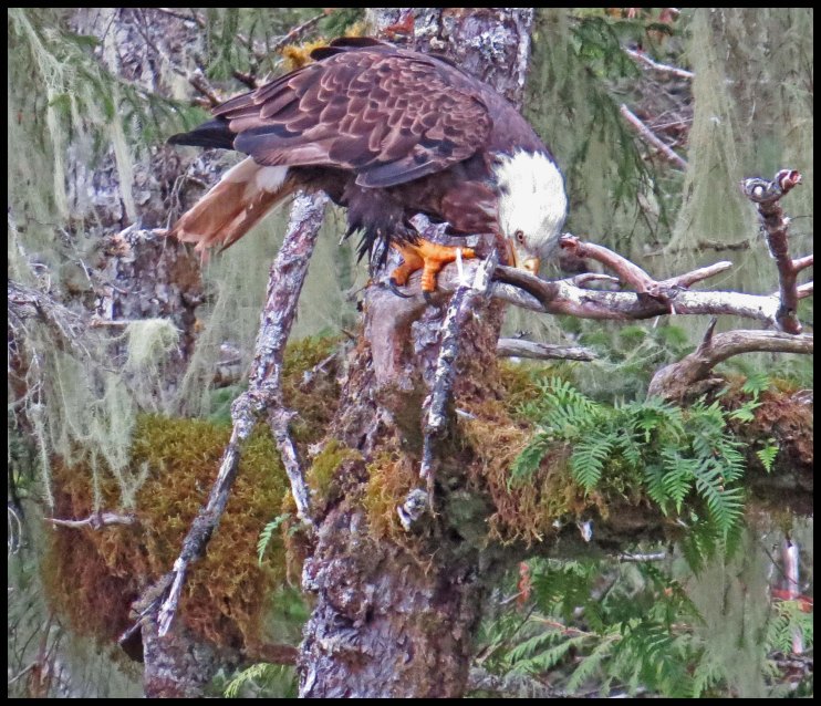 KakushdishSept2015-106-IMG_3644_edited-1