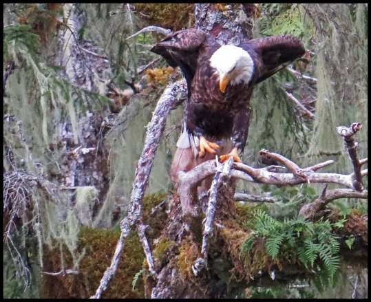 KakushdishSept2015-106-IMG_3646_edited-1