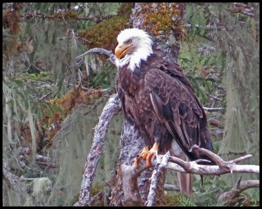 KakushdishSept2015-108-IMG_3652_edited-1