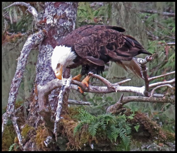 KakushdishSept2015-109-IMG_3654_edited-1